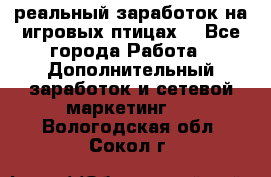 Rich Birds-реальный заработок на игровых птицах. - Все города Работа » Дополнительный заработок и сетевой маркетинг   . Вологодская обл.,Сокол г.